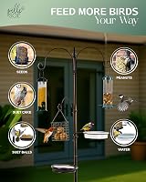 Pelle & Sol Bird Feeder Station with 3 Feeders 2 Dishes Garden view 5