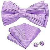 Barry.Wang Lilac Bow Ties for Men Pre-tied Bow Tie