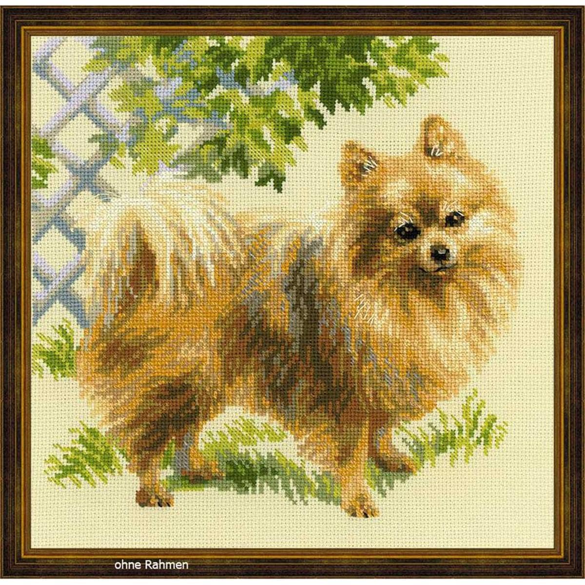 RIOLIS Cross Stitch Kit - 1585 - Pomeranian