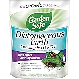 Garden Safe Insect Killer, 1-count