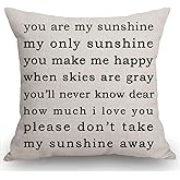 Swono You are My Sunshine Farmhouse Pillow, Song Lyrics Presents, Happiness Quote Living Room Throw Pillow, Pillow Covers