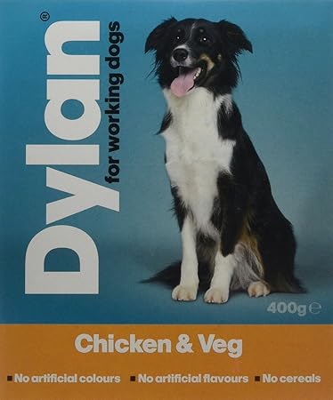 dylan working dog food