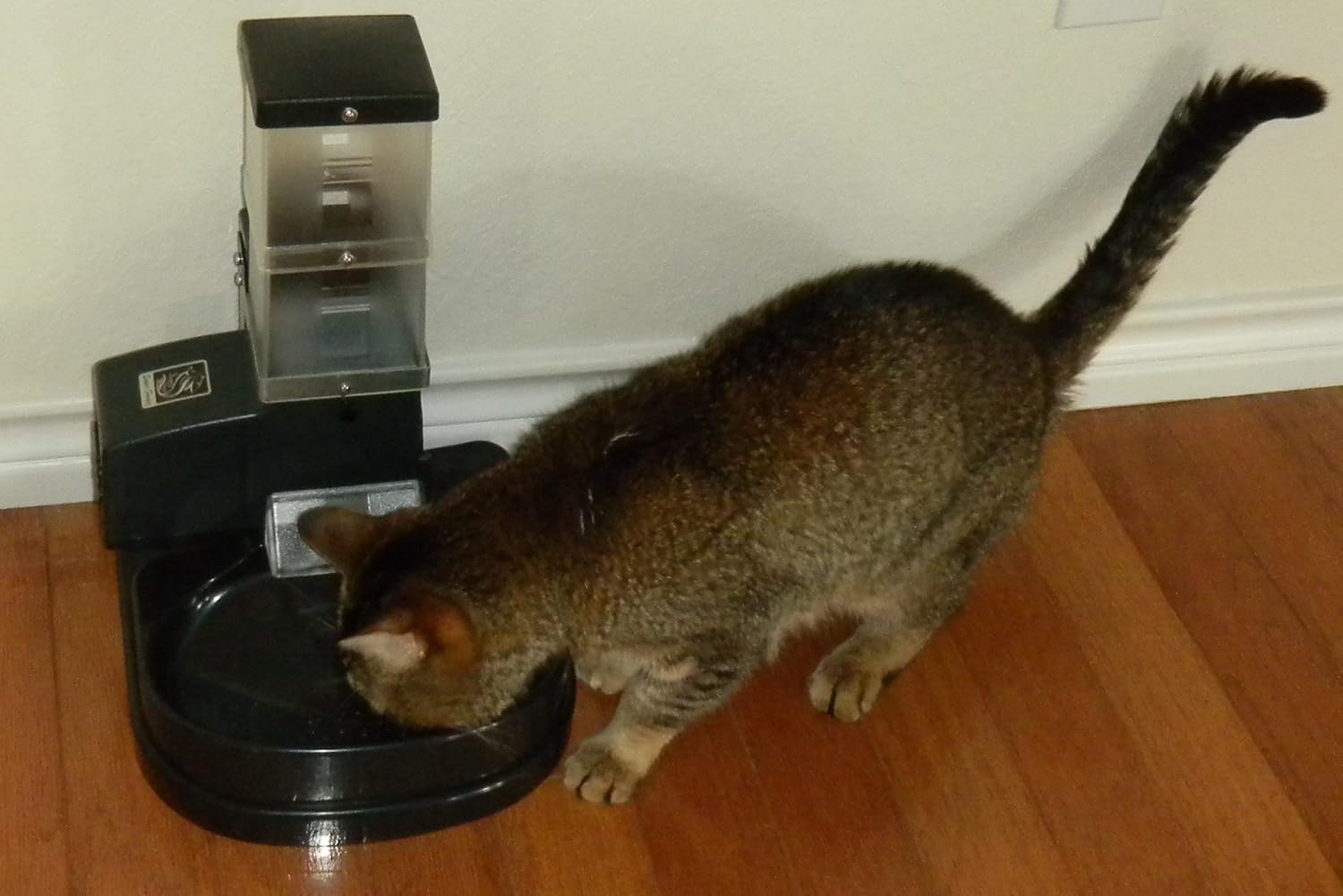 Super Feeder Automatic Cat Feeder Csf 3 Stand Bowl Analog Timer