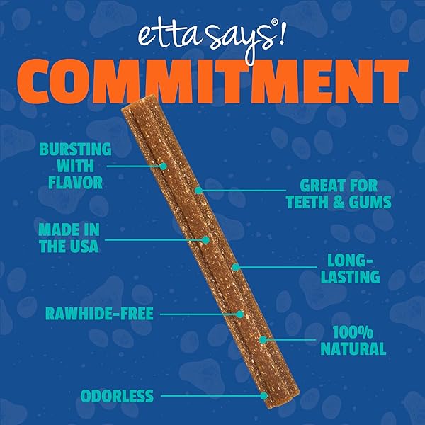ETTA SAYS! FLAVOR FUSION – ALL NATURAL RAWHIDE FREE CHEWS FOR DOGS 2OZ CHEW – BEEF AND BONE BROTH – MADE IN THE USA (12 COUNT PACK OF 1)