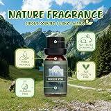 Salubrito Nature Essential Oils Set Forest Pine Ocean Breeze Rain 6x Oils view 2