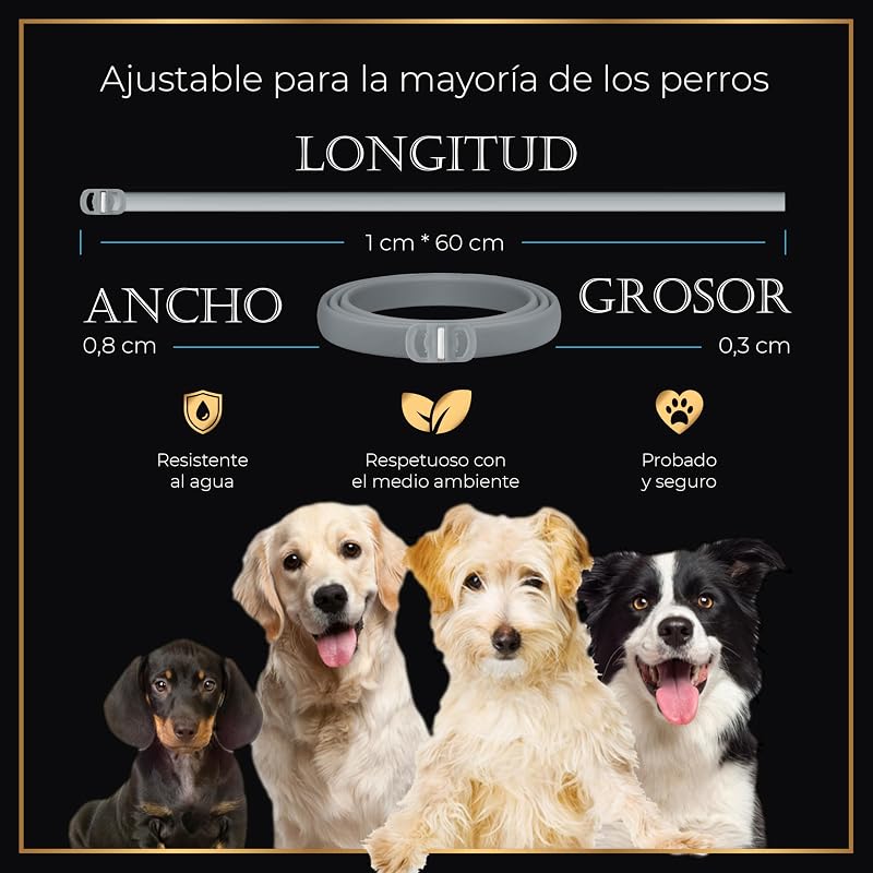 Leve 4 coleiras antiparasitárias para cães, 24 meses de proteção contra pulgas, carraças e mosquitos - 100% naturais, impermeáveis, ajustáveis, para todos os tamanhos.
