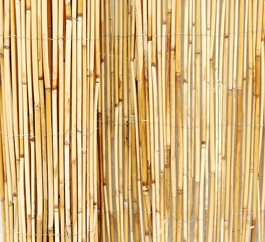 Backyard X Scapes Peeled Reed Fencing 6ft H X 16ft L Amazon Com