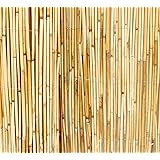 Amazon Com Backyard X Scapes Peeled Reed Fencing 6ft H X 16ft L
