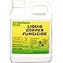 Southern Ag Liquid Copper Fungicide, 16oz - 1 Pint
