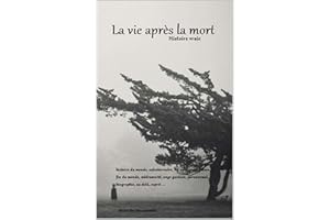 La vie après la mort: La vérité n'est pas toujours bonne à savoir (French Edition)