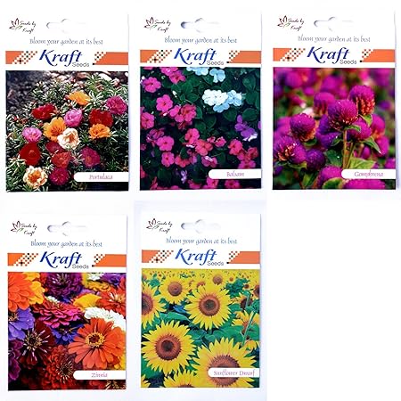 SUMMER FLOWER SEEDS (PACK OF 5) by KRAFT SEEDS (Portulaca, Balsam, Zinnia, Gomphrena, Sunflower Dwarf)