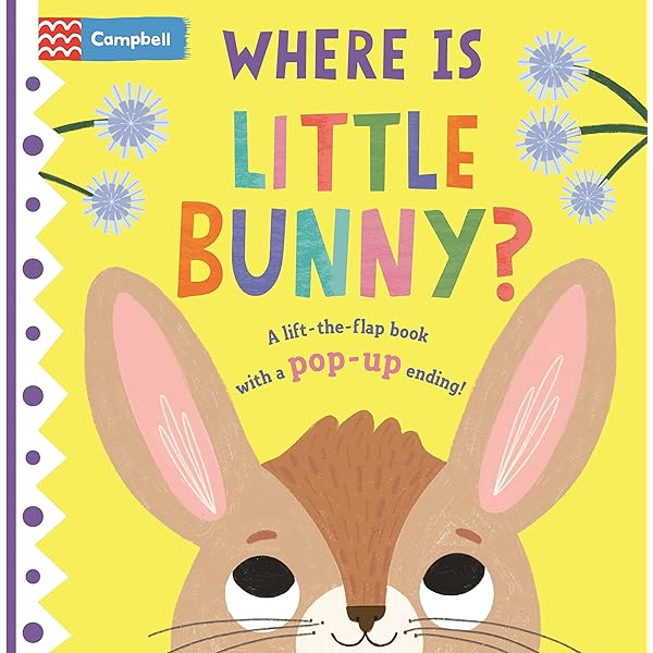 What's in the cave?: Let's find out (A Lift-the-flap pop-up book