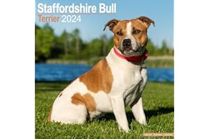 Staffordshire Bull Terrier Calendar - Dog Breed Calendars - 2023 - 2024 Wall calendars - 16 Month by Avonside