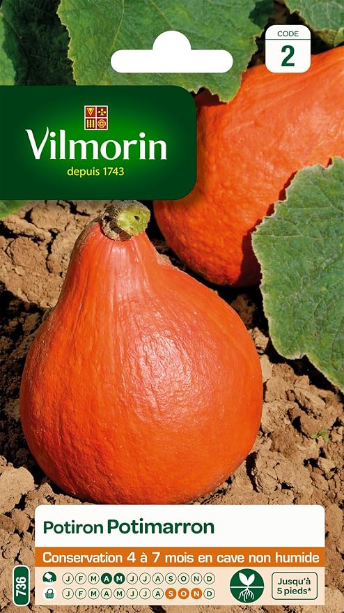 Vilmorin Pack De Graines Potiron Potimarron Amazon Fr Jardin