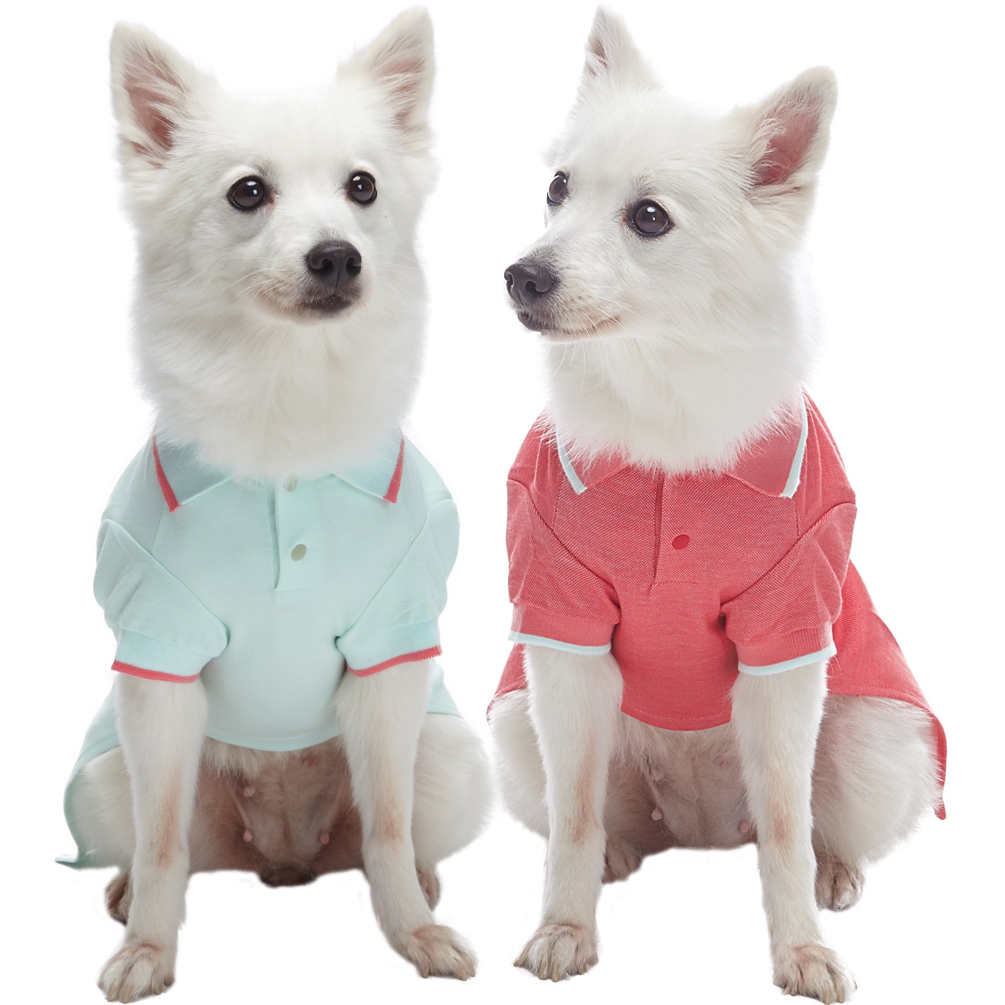Blueberry Pet Back to Basic Cotton Blend Dog Polo Shirt in Mint Blue and Terra Cotta Red, Back Length 10"/25cm, Pack of 2 Clothes for Dogs
