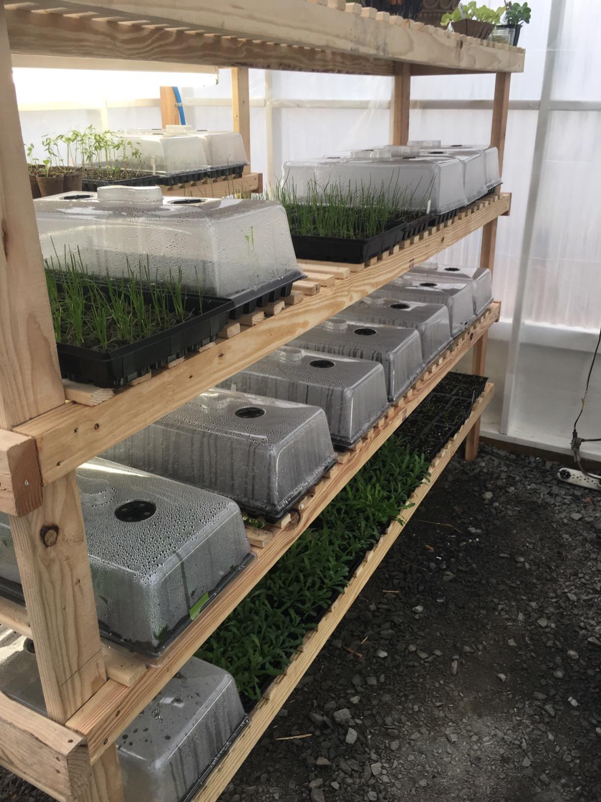 16/mo Finance Bootstrap Farmer Humidity Dome 6" Tall Extra Strength