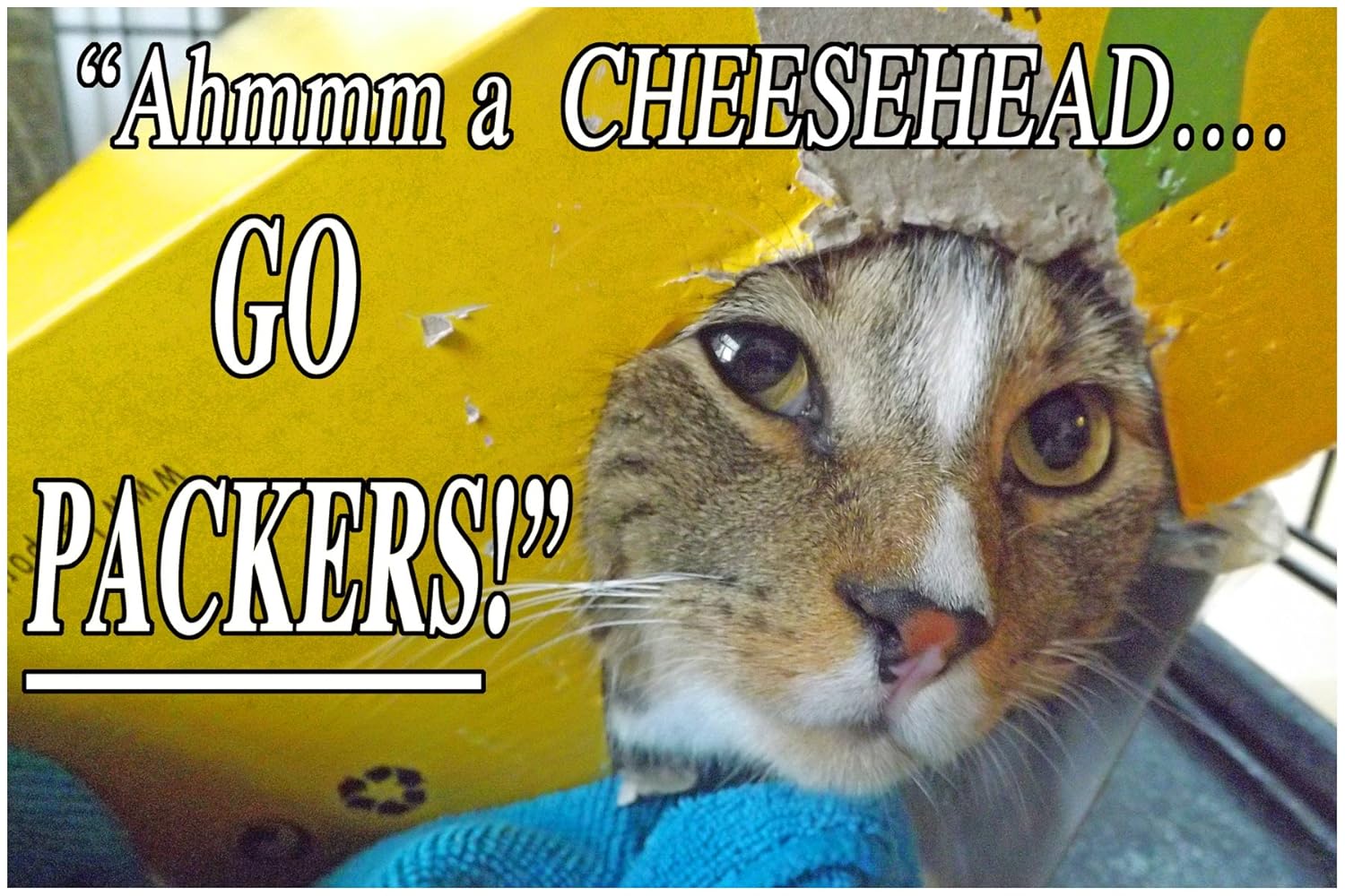 Queso Head- 1 pequeño, Funny Imán para nevera, 2 x 3 pulgadas (5 ...