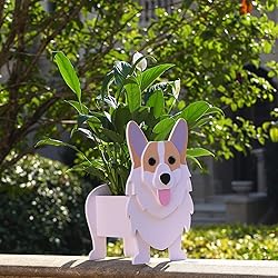 Gochoi Corgi Gifts for Corgi Lovers, Corgi Dog