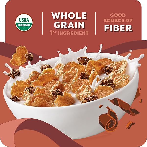 KASHI BREAKFAST CEREAL, ORGANIC, WHOLE GRAIN, COCOA CLUSTERS, 17.2OZ BOX (1 BOX)