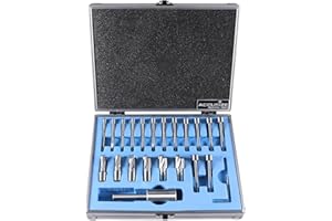 Accusize Industrial Tools 21 Pcs Hss Interchangeable Pilot Counterbore Set, 3620-0121