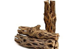 NilocG Aquatics 3 Pieces 5-6" Long Natural Cholla Wood for Aquarium Decoration