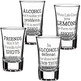 Lillian Rose Party Shot Glasses Set of 4