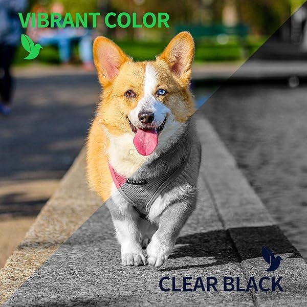 Inkwood Cartucho de tinta de color remanufacturado 303XL para HP Envy Photo 6234 6230 7134 6220 7830 7100 7130 6222 6232 6252 6255 Tango Smart Home Tango Smart Wireless Tango X Smart All in One