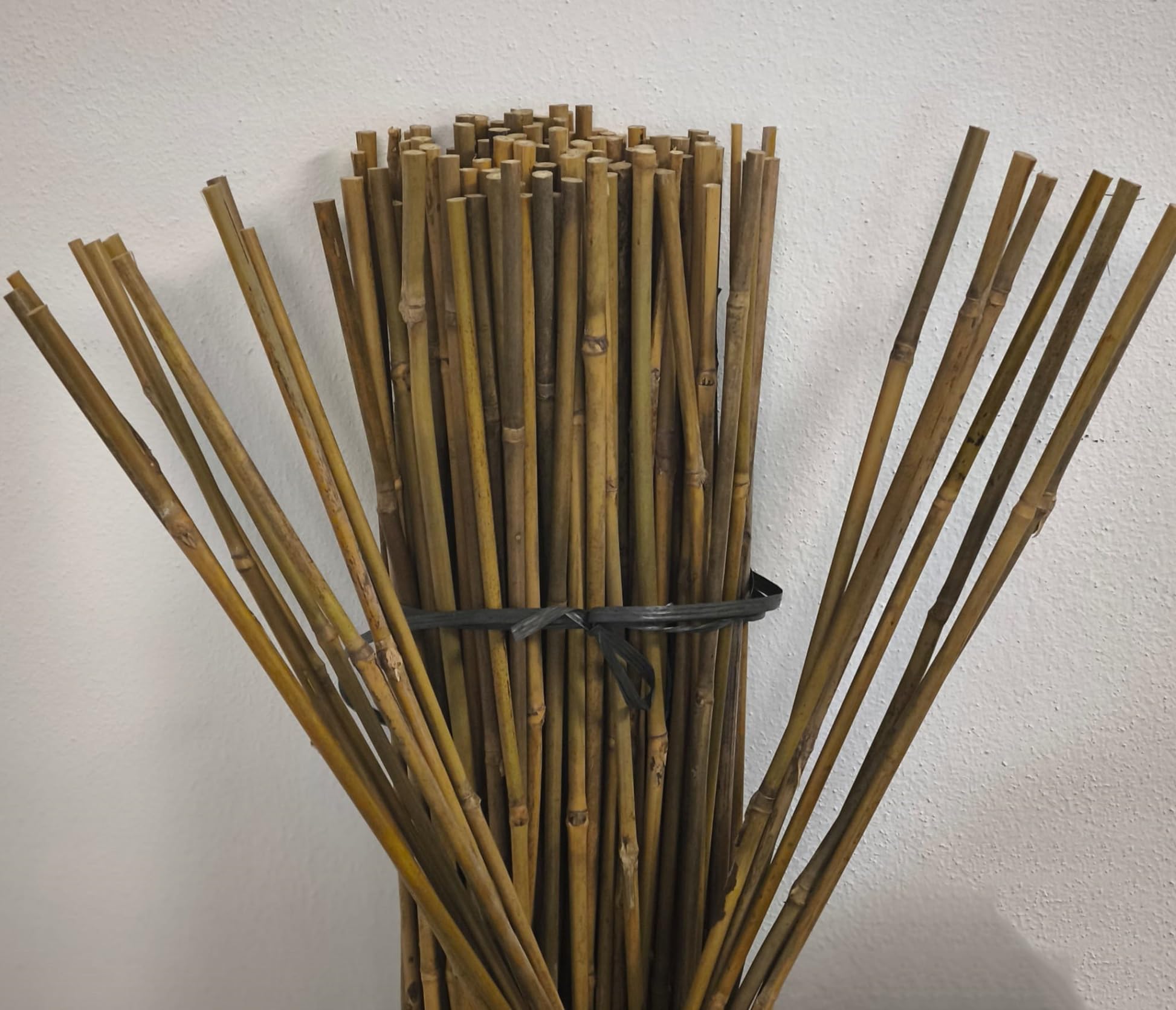 Suinga Pack of 25 Bamboo Tutors 60 cm (6-8 mm) | Sturdy Bamboo Sticks for Plants, Trees and Vegetables | Plant Support, Tomatoes | Climbing Plant Tutors