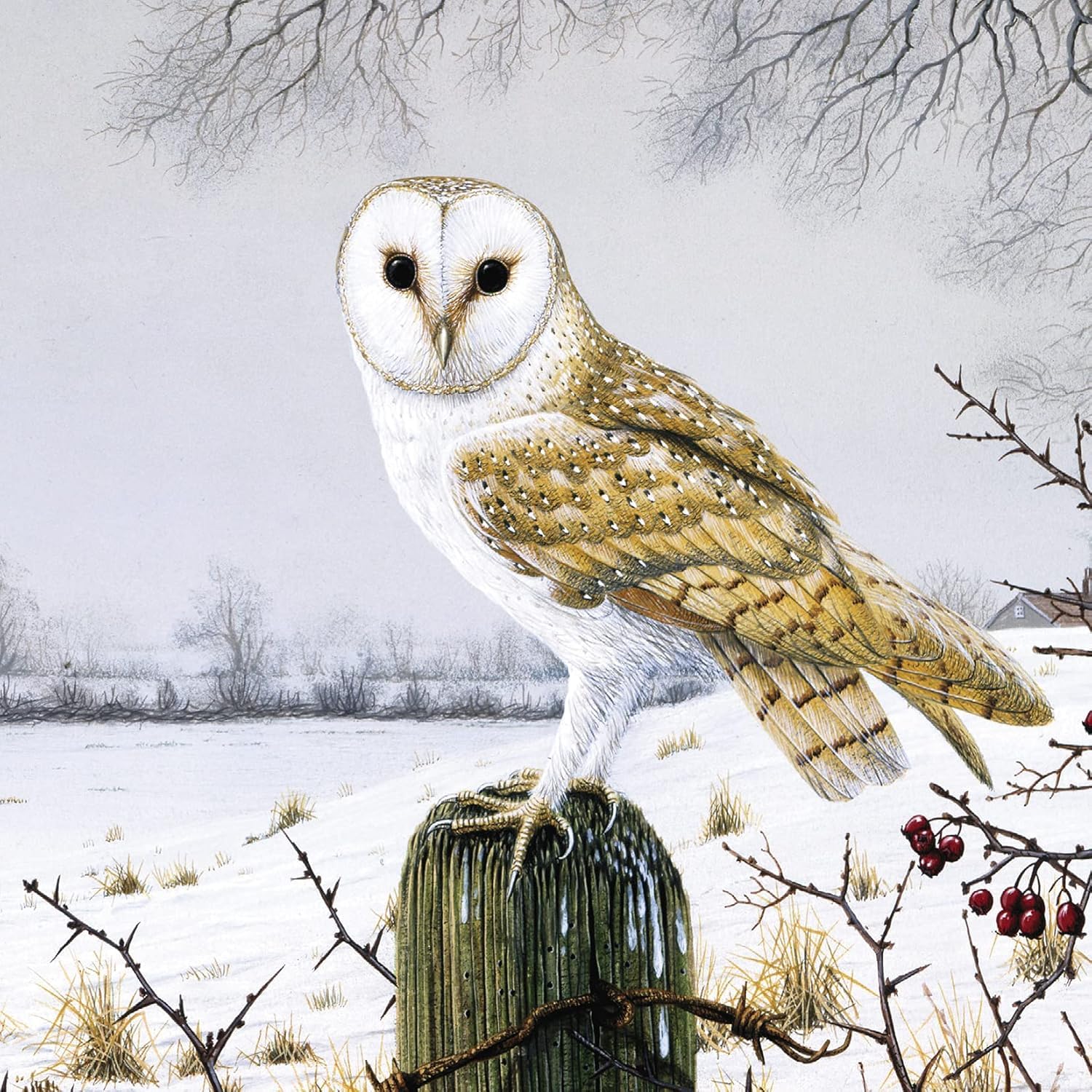 GBCC Charity Christmas Cards Pack of 6 - Charity Christmas Cards with Barn Owl Snowy Scene - Eco-Friendly Xmas Cards Multipack with Envelopes