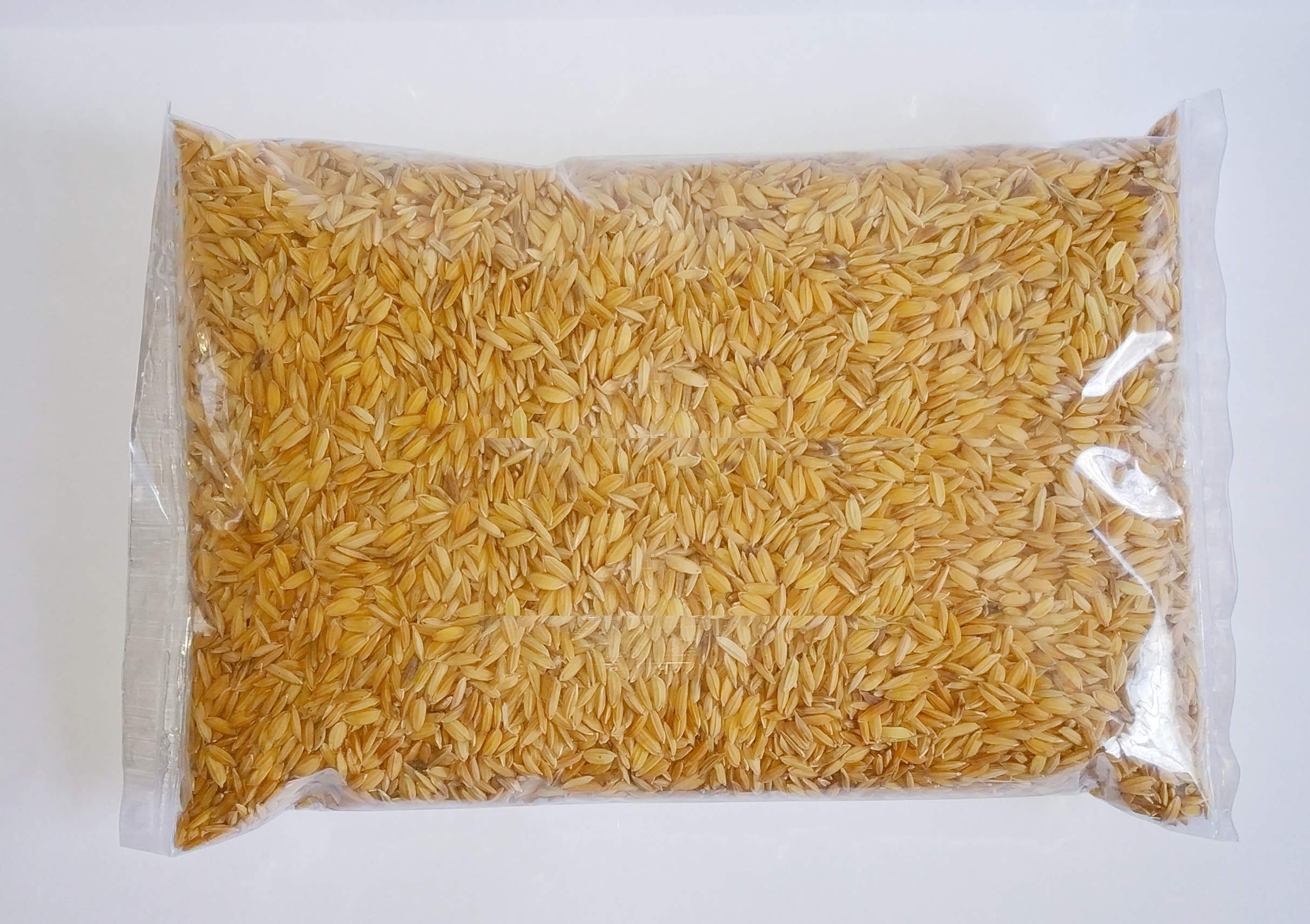 Pets Wizard - Premium Rice Paddy Seeds Bird Food for All Type of Birds - 450 Grams