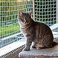 Cat Balcony Net Cat Netting Balcony Rail Net Cat PET Balcony Anti Fall Netting Cat Fence Nets Transparent Nylon Pet Mesh Fence Anti Fall Netting for Balcony Window Stairs (10 * 13ft, White)