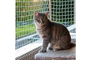 Piowet Cat Balcony Net Cat Netting Balcony Rail Net Cat PET Balcony Anti Fall Netting Cat Fence Nets Transparent Nylon Pet Mesh Fence Anti Fall Netting for Balcony Window Stairs (10 * 13ft, White)