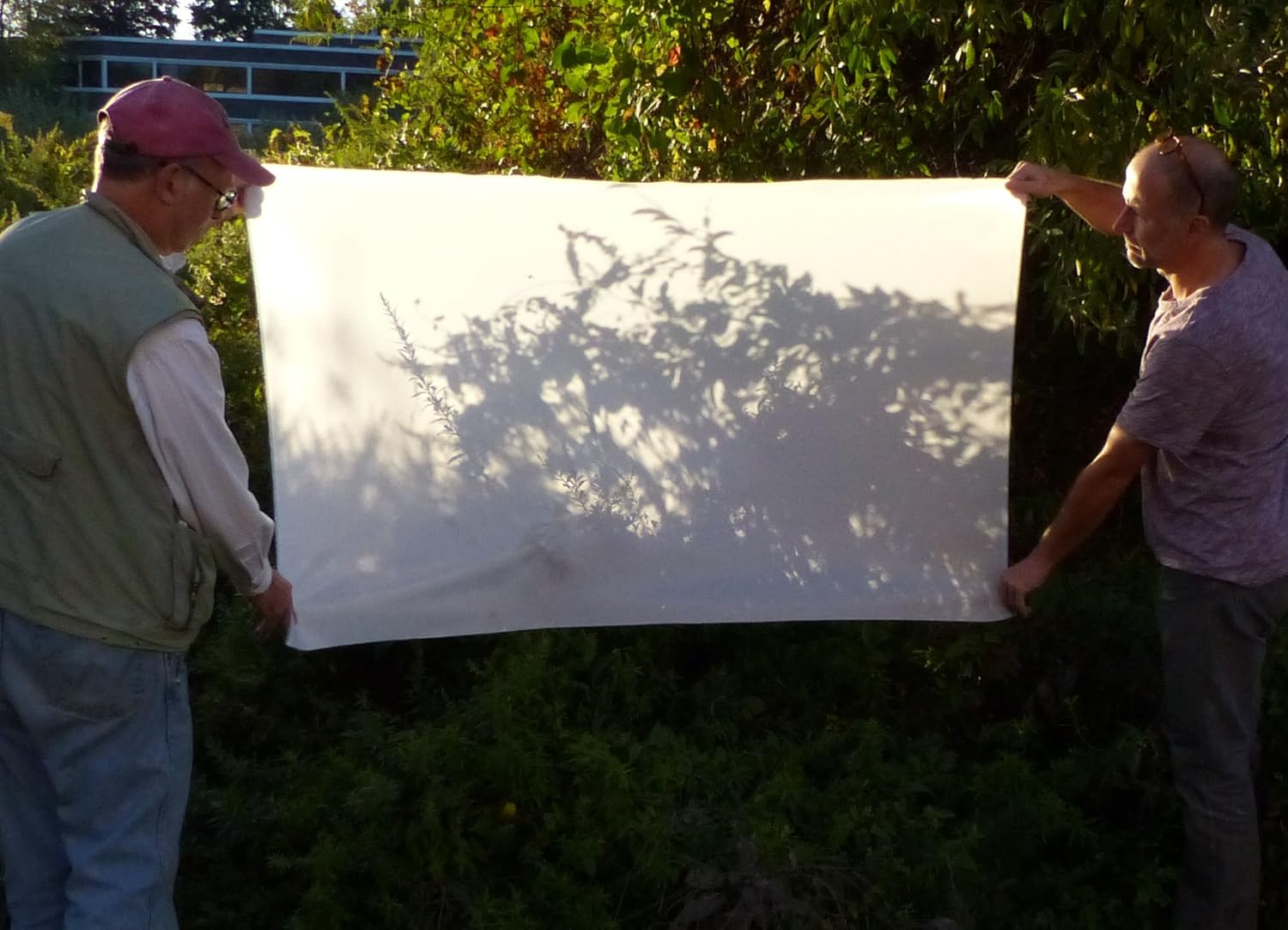 Best Seamless White Diffusion Fabric, Diy Softbox Lighting Tents