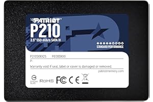 PATRIOT MEMORY Patriot P210 SATA 3 256GB SSD 2.5 Inch Internal Solid State Drive - P210S256G25