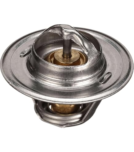 Amazon.com: Ski-Doo OEM Thermostat GSX GTX MXZ Skandic Summit