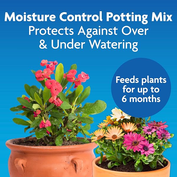 MIRACLE-GRO MOISTURE CONTROL POTTING MIX – PLANT SOIL FOR CONTAINER PLANTS, PROTECTS AGAINST OVER- AND UNDER-WATERING, 8 QT. (2-PACK)