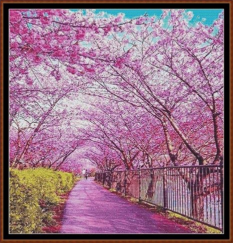 primavera en amazon
