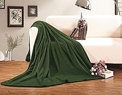 Elegant Comfort Luxury Velvety Softness Fuzzy Plush