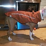 Mile High Life Dog Raincoat Adjustable Waterproof Reflective Stripe Lightweight view 5