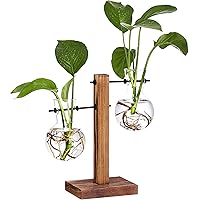 XXXFLOWER Glass Planter Bulb Vase, Desktop Plant Terrarium with Retro Solid Wooden Stand and Metal Swivel Holder for Hydropon