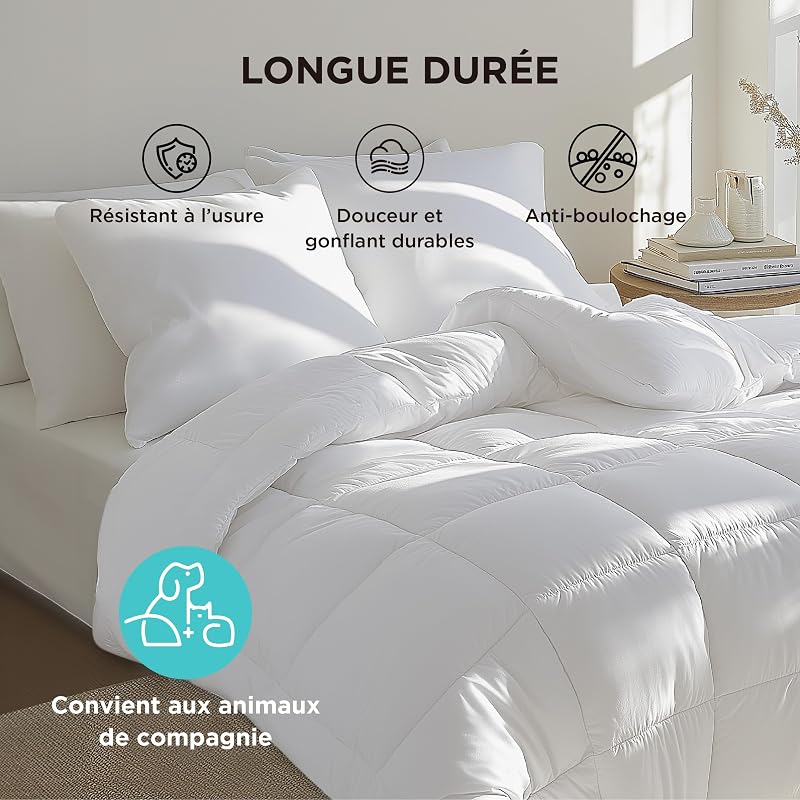 Couette 260x240 4 Saisons - Couette sans Housse 300g/m²