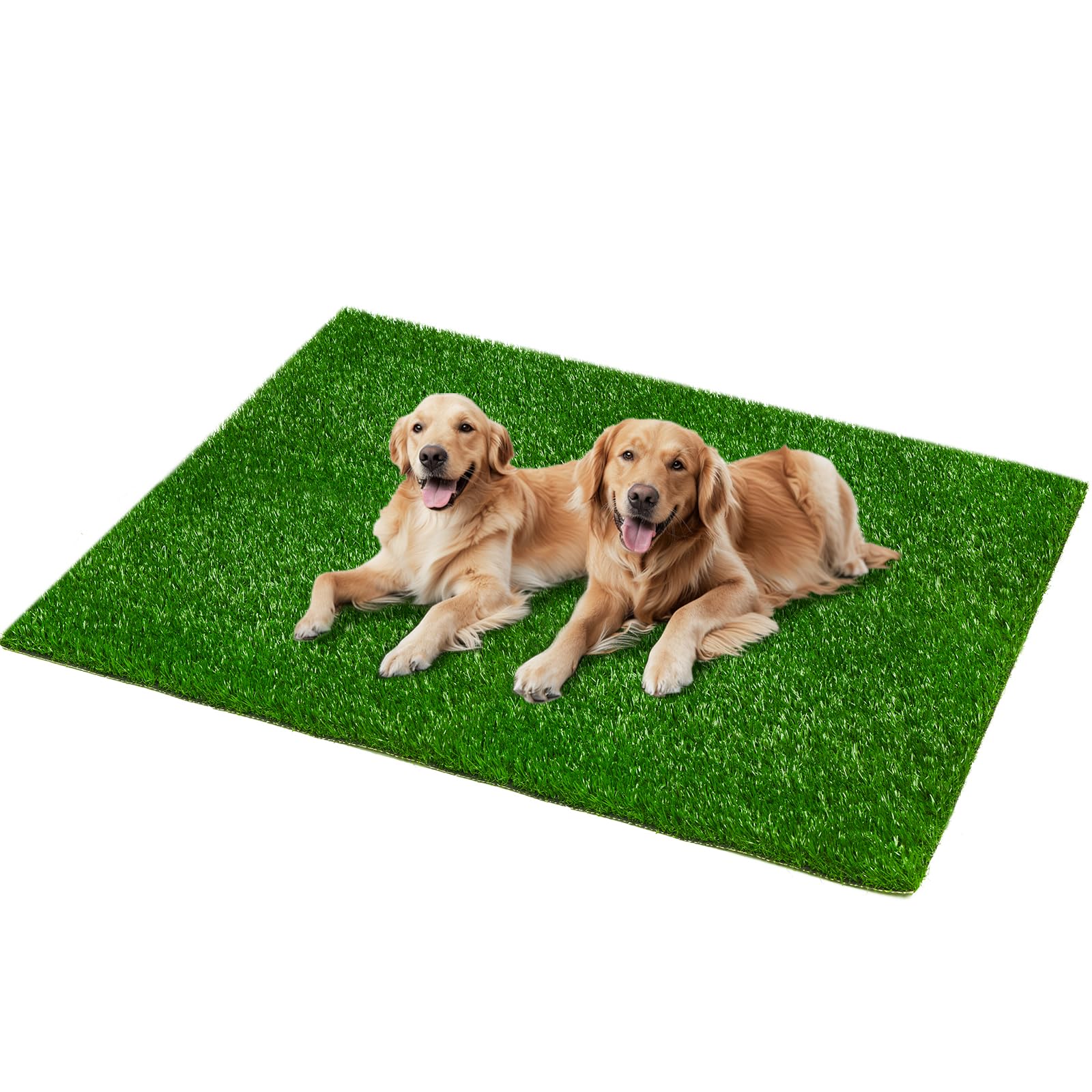 Dog Grass Mat 80 x 100cm, Strong Absorbency Soft Artificial Puppy Grass for Pets Potty Training, Easy to Clean Artificial Grass for Dogs Indoor Outdoor Use