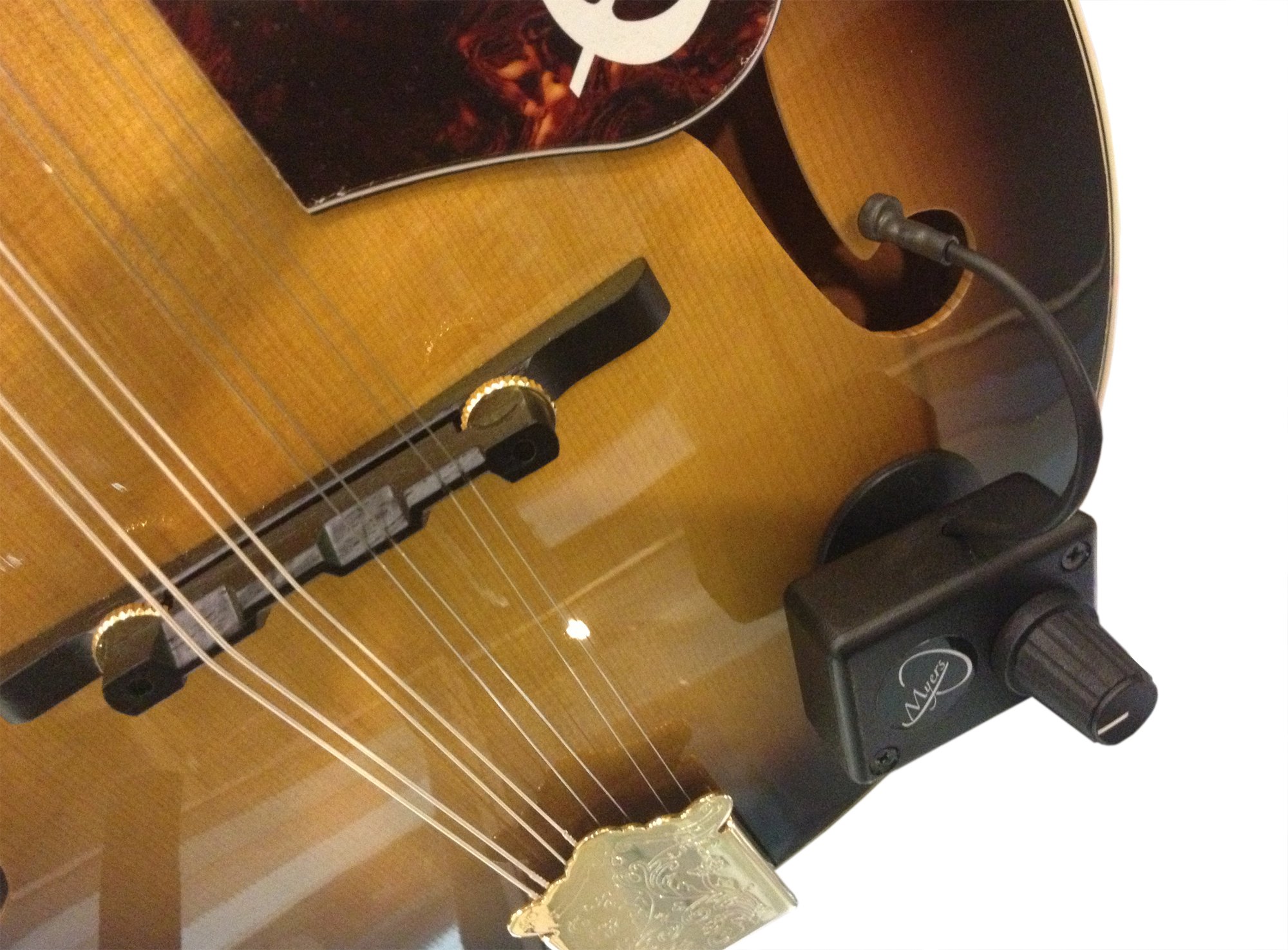 Mua Myers Pickups Mandolin Pickup with Flexible MicroGooseneck trên Amazon Mỹ chính hãng 2024