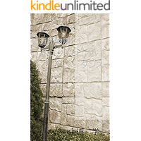 gokinnjyomonogatari2 erekutorikkudannsu gokinnjyomonogatarisirizu (Japanese Edition) book cover