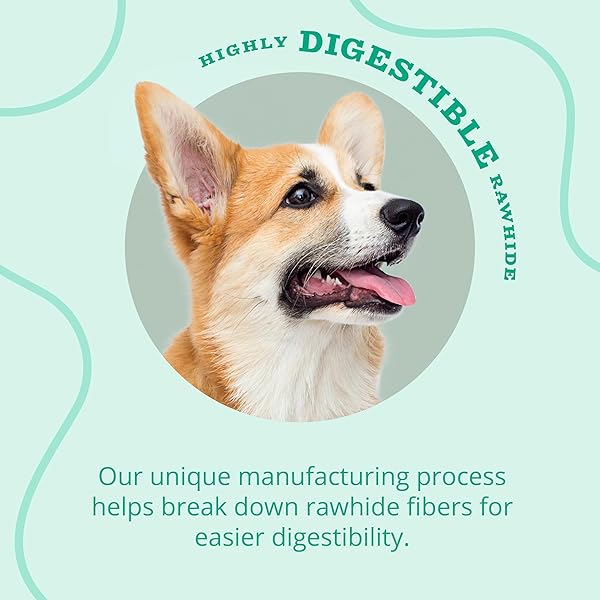BETTER BELLY DENTAL KABOBS, DENTAL DOG CHEWS WITH BREATH-FRESHENING SPEARMINT, 18 COUNT