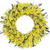 LOKEISNA Yellow forsythia Door Wreath, 24 Inch Summer Wreaths for Front Door Outside, Hand Made Artificial Forsythia Flower Wreath for Front Door Window Wall Farmhouse Home Gift
