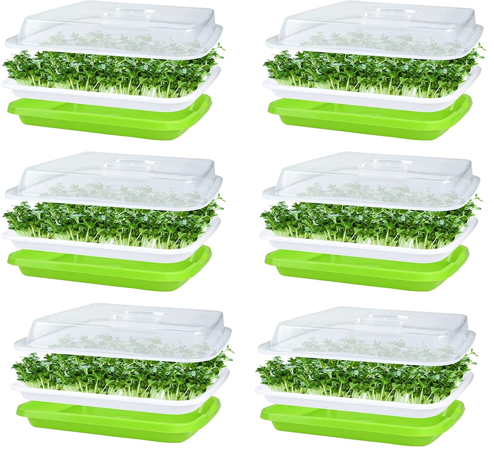 KAHEIGN 6Pcs Seed Sprouting Trays with Lid, 32cm x 26cm Large Capacity Germination Tray BPA Free Healthy Hydroponic Propagator with 24Pcs Planting Papers for Growing Mung Beans, Alfalfa, Wheat Grass