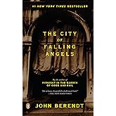 The City of Falling Angels