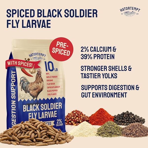 HATORTEMPT 10LB BLACK SOLDIER FLY LARVAE CHICKEN FEED WITH DIGESTIVE MIX