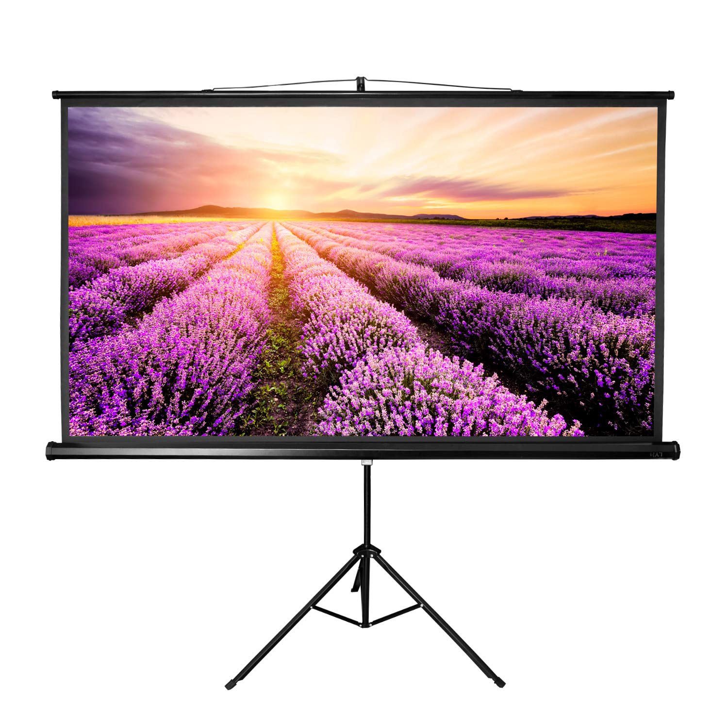 Best Home Theater Screen 84′